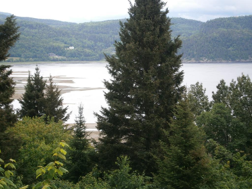 Appartement Panoramique du Fjord à LʼAnse-Saint-Jean Extérieur photo