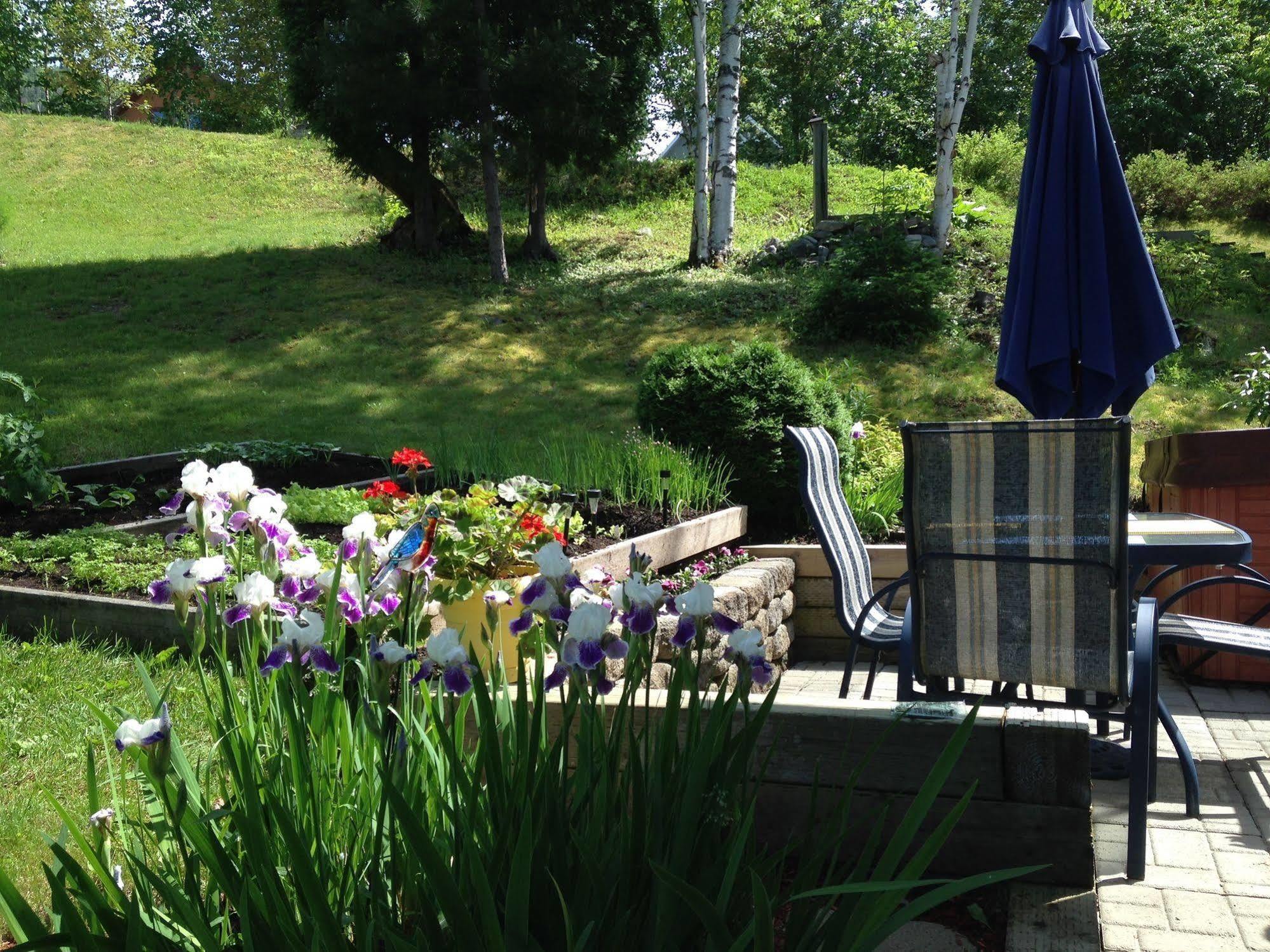 Appartement Panoramique du Fjord à LʼAnse-Saint-Jean Extérieur photo