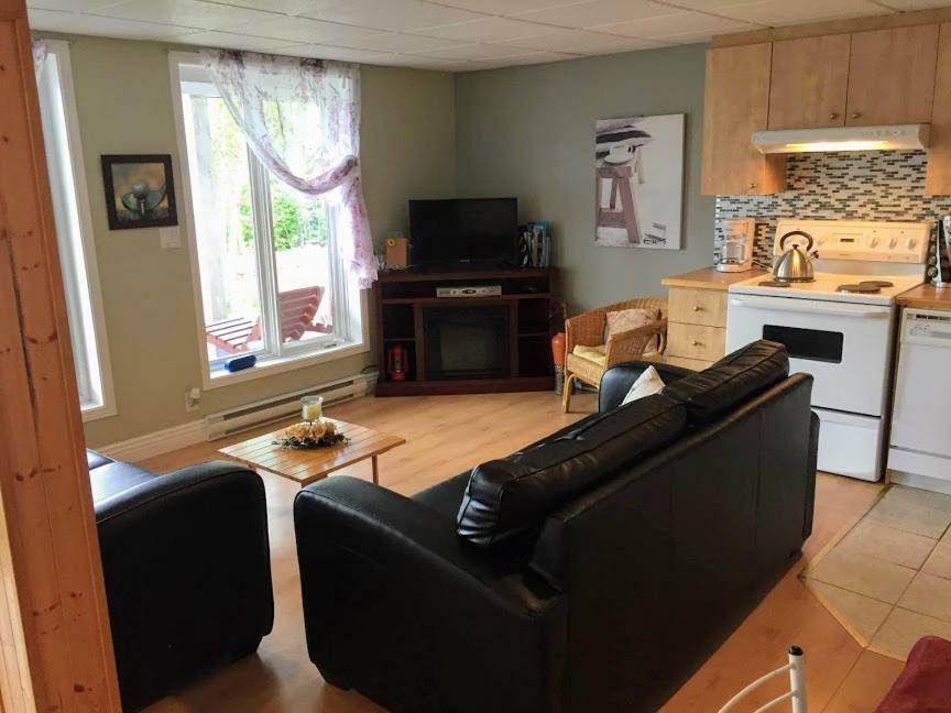 Appartement Panoramique du Fjord à LʼAnse-Saint-Jean Extérieur photo
