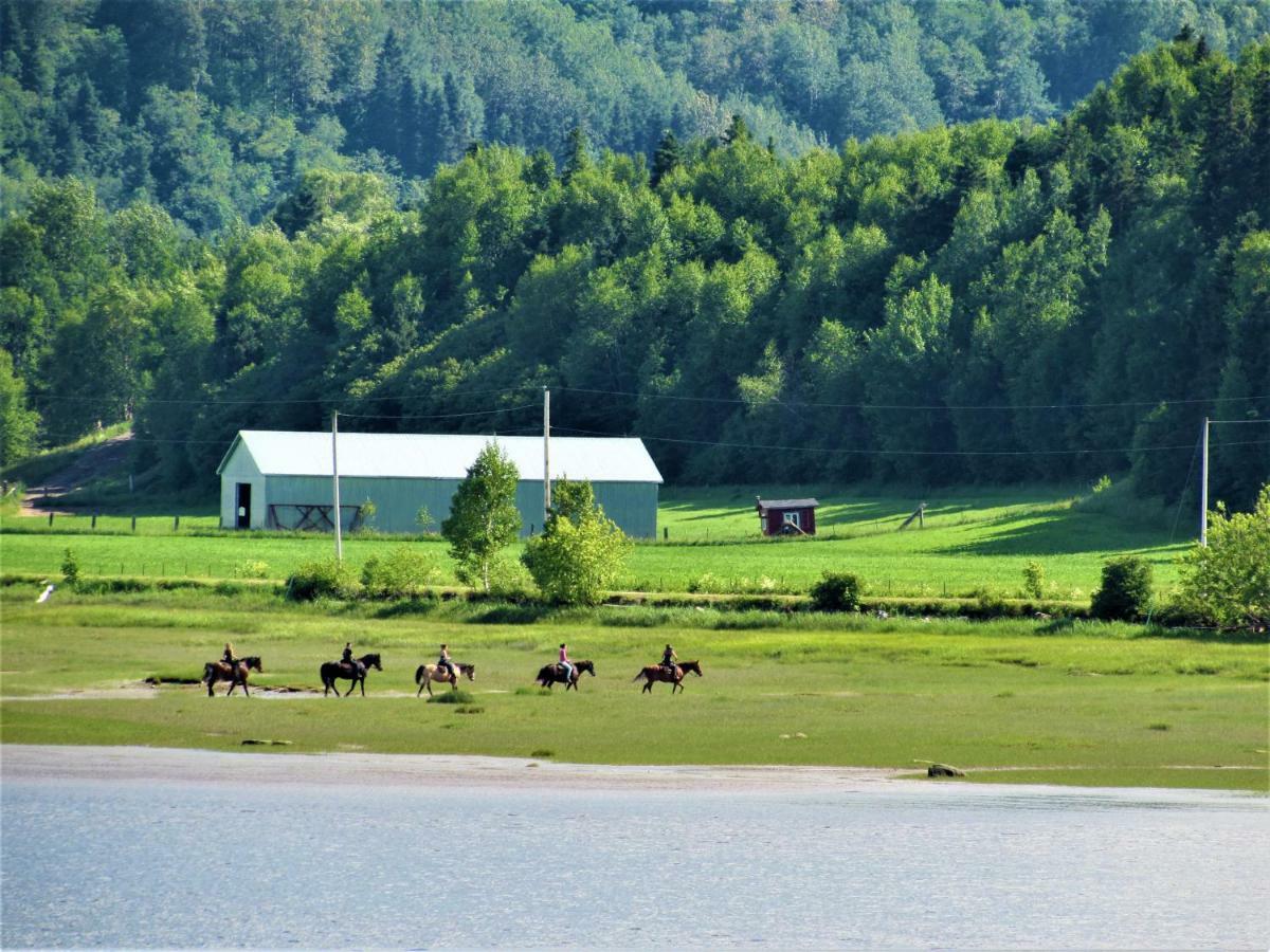 Appartement Panoramique du Fjord à LʼAnse-Saint-Jean Extérieur photo