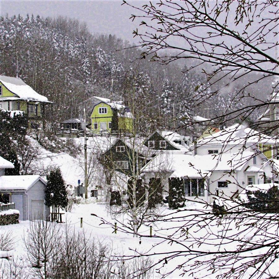 Appartement Panoramique du Fjord à LʼAnse-Saint-Jean Extérieur photo