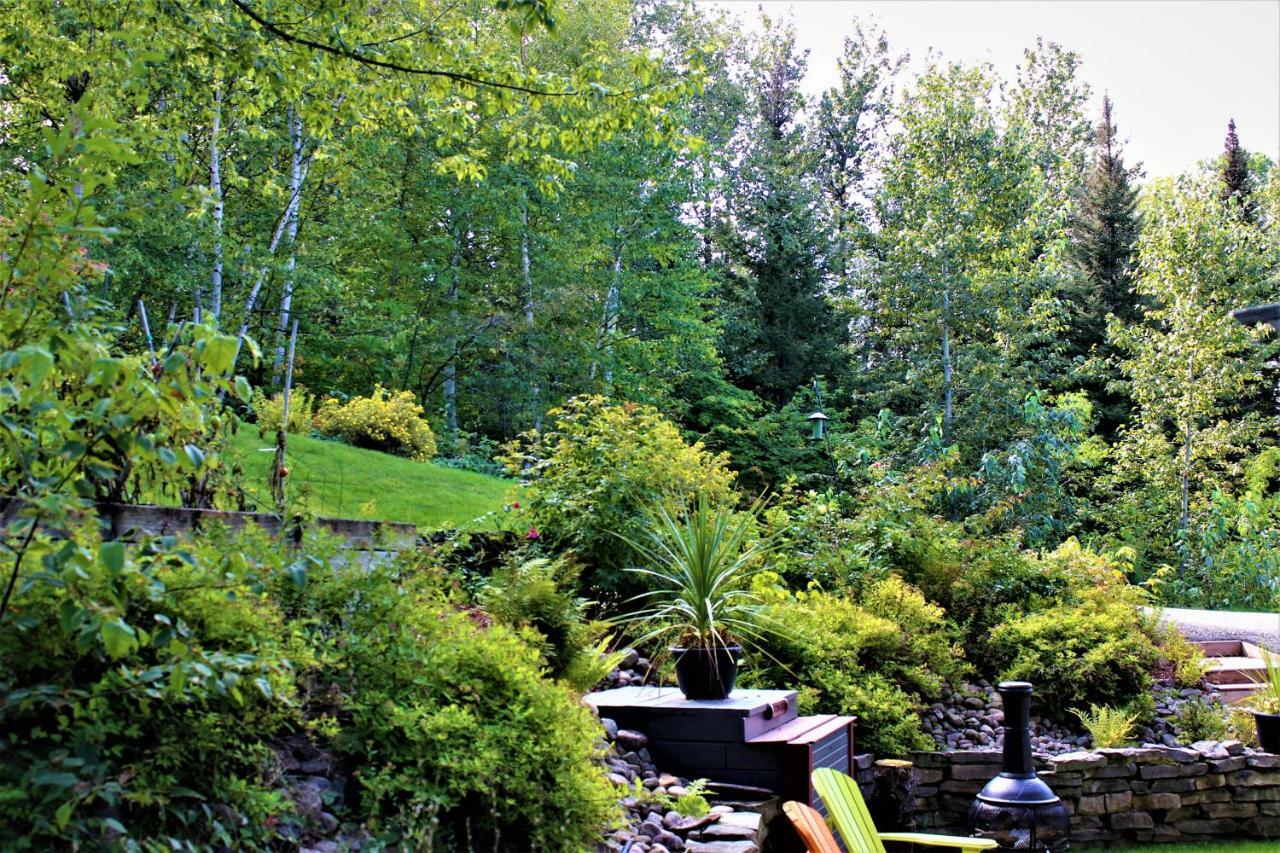 Appartement Panoramique du Fjord à LʼAnse-Saint-Jean Extérieur photo